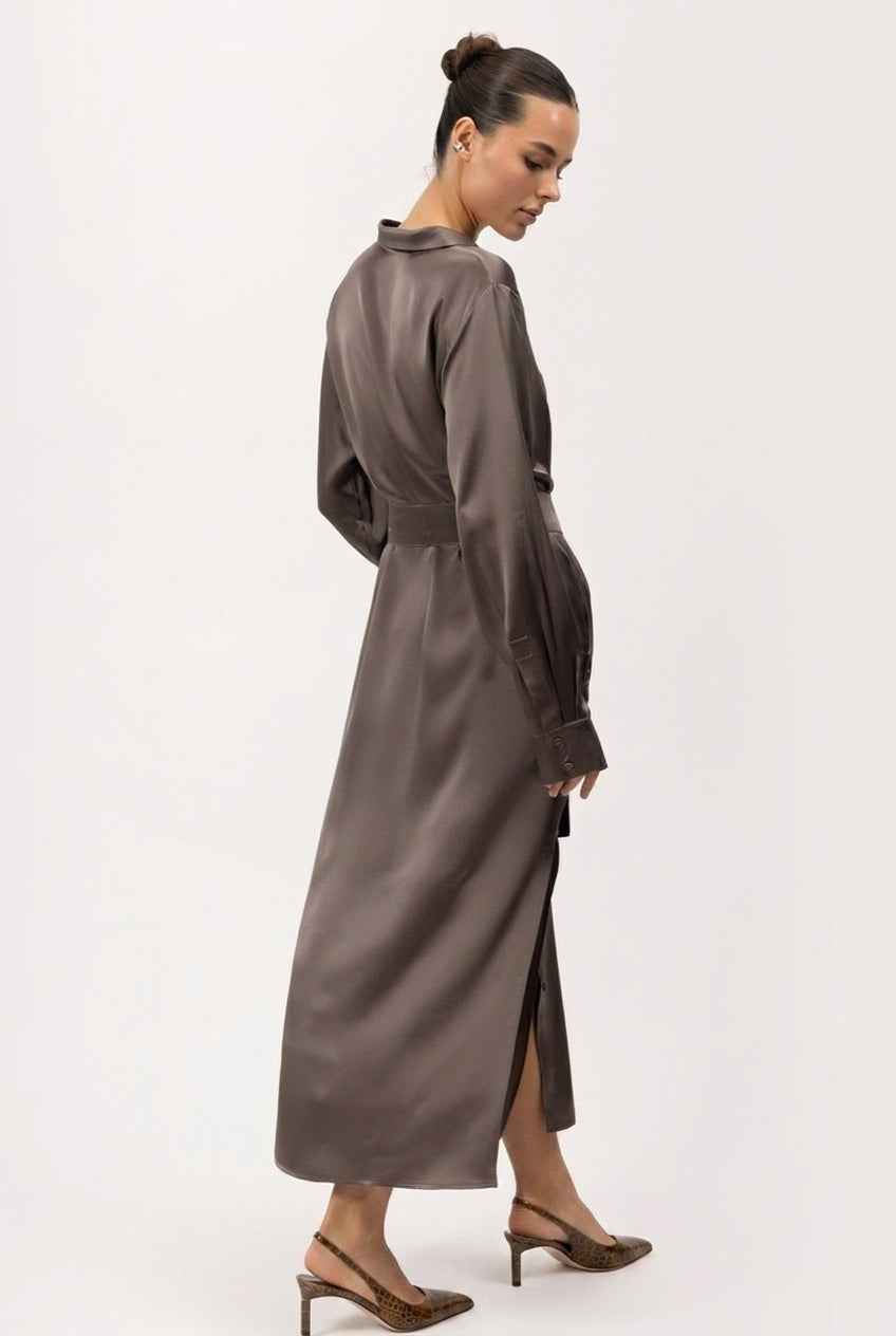 Silk Shirt Dress The Lady