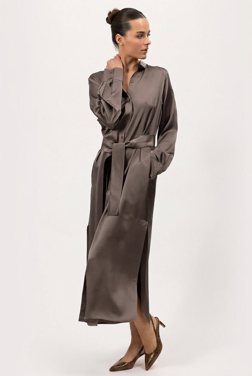 Silk Shirt Dress The Lady