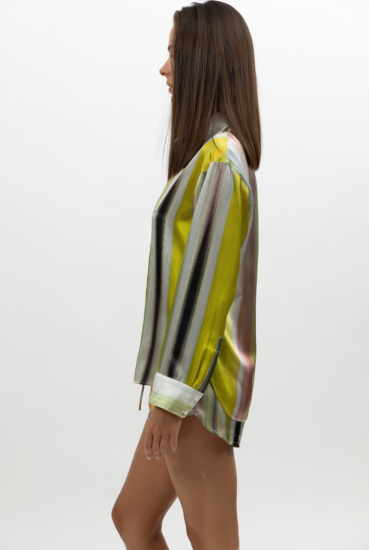 Art Stripes Silk Shirt
